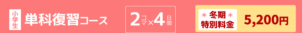 小学生：単科復習コース