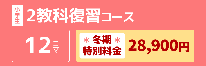 小学生：2教科復習コース