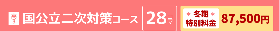 高3：国公立二次対策コース