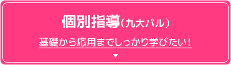 個別指導（九大パル）基礎から応用までしっかり学びたい！