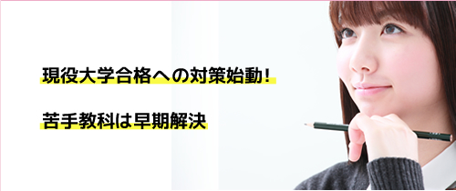 大学入試共通テスト直前対策 私大ファイナルチェック